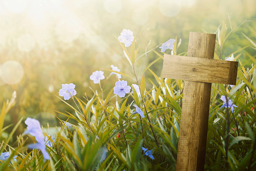 Wooden cross and purple flower with sunlight on the field